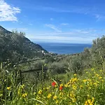 Olivetta House Διαμέρισμα *