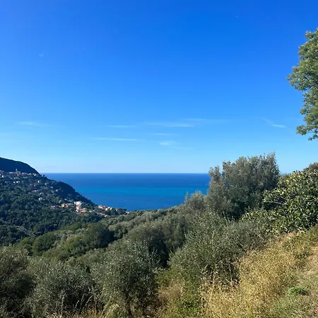 Апартаменты Olivetta House Монелья