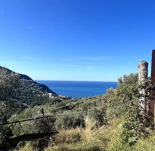 Апартаменты Olivetta House