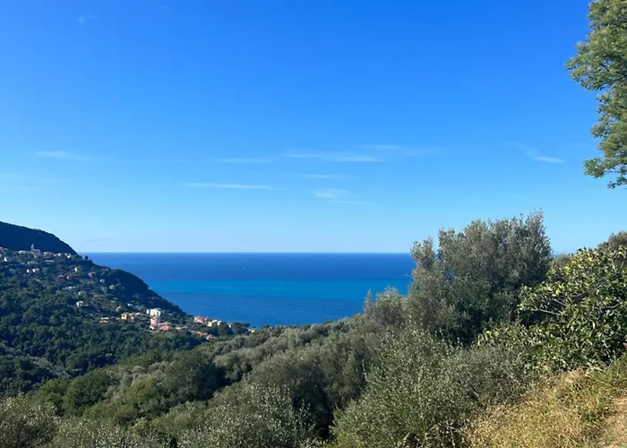 Апартаменты Olivetta House Монелья